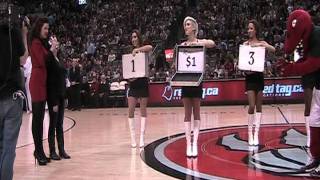 Raptors marriage proposal Feb 14 2012 [upl. by Sculley]