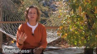 Mindfulness Stress Reduction Part 5 of 6 [upl. by Ecnatsnoc144]