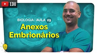 Anexos Embrionários Placenta Cordão Umbilical Líquido Amniótico  Embriologia  Biologia  Enem [upl. by Roter]