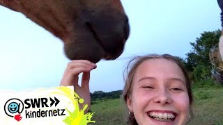 Ich liebe Überraschungen  Linns VLog  Dein großer Tag  SWR Kindernetz [upl. by Zenobia921]