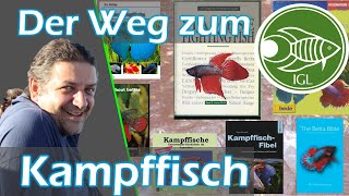 Betta splendens  der rätselhafte Kampffisch 🐟 Frank Schäfers Vortrag der IGLTagung Herbst 2023 [upl. by Eislek]