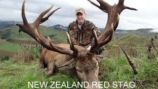 Red Stag Hunting New Zealand with Amplehunting [upl. by Weston]