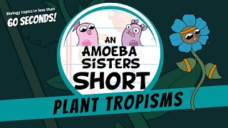 Plant Tropisms Amoeba Sisters Shorts [upl. by Jacinto]