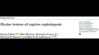 podcast 036B quotOcular lesions of captive cephalopodsquot 1513 [upl. by Jeremie]