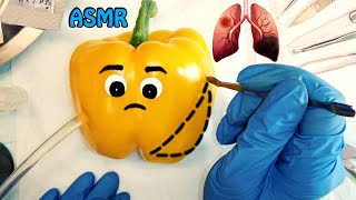 ASMR Bell pepper lung lobectomy surgery  Realistic amp Relaxing amp Satisfying Surgery 🩺💉👩🏻‍⚕️🎧🩹 [upl. by Pegeen]