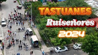 TASTUANES RUISEÑORES 2024 [upl. by Nihi643]