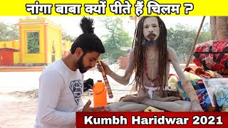 Haridwar Kumbh 2021  क्यों पीते हैं नांगा बाबा चिलम  नागा बाबा ने बताया चिलम पीने का राज [upl. by Eirrahs]