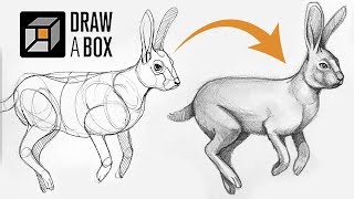 Learn to Draw for Free DrawABox Review [upl. by Cy]