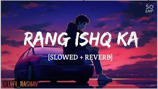 Rang Ishq Ka BMCM । Slowed  Reverb । Lofi Version [upl. by Plante486]