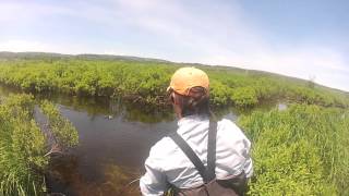 Fly Fishing Short 1 Fathers Day Sight Fishing GoPro Hero 2 1080p HD [upl. by Flossi]