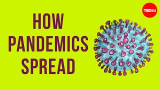 How pandemics spread [upl. by Drareg552]