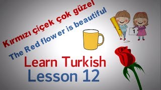 Learn Turkish Lesson 12  Making Sentences with Turkish Colours [upl. by Anifad]