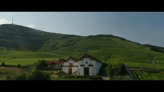 TokajHétszőlő Organic Vineyards Promotion Film [upl. by Amick929]