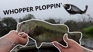 WHOPPER PLOPPIN some LARGIES [upl. by Etteloc]