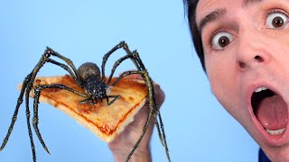 SPIDER ON PIZZA [upl. by Alisen]