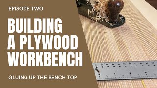 Plywood workbench build  Gluing up the bench top [upl. by Linskey279]