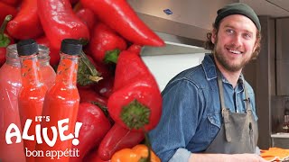 Brad Makes Fermented Hot Sauce  Its Alive  Bon Appétit [upl. by Sidnarb]