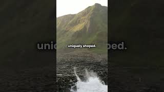 Explore the Wonders of Giants Causeway shorts funfacts northernireland stunning worldwonder [upl. by Demahom230]