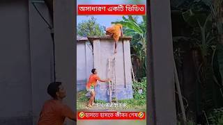 চরম হাসির ফানি ভিডিও 😅 funny shortvideo tending fypシ゚viral [upl. by Kessia]