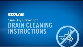 Small Fly Prevention Drain Cleaning Instructions [upl. by Aiderfla997]