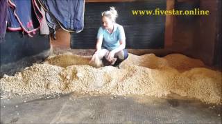 How to set up your horses FIVE STAR wood pellet bed wwwfivestaronline [upl. by Still]