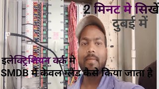 SMDB मैं केवल ग्लैंड कैसे किया जाता है [upl. by Kurtz]