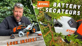 We put the NEW STIHL ASA 20 Cordless Secateurs to the TEST [upl. by Nauqit644]