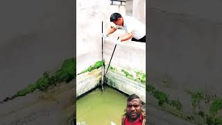 fishing crocodilian fish fishingtips [upl. by Yclek]