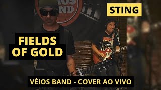 VÉIOS BAND  Fields Of Gold Sting Cover Ao Vivo  Banda Flashback [upl. by Kantos]