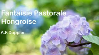 Fantaisie Pastorale HongroiseAFDoppler [upl. by Gearard]