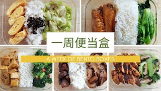 一周午餐便当食谱 One week of lunch boxes recipes [upl. by Ronaele405]