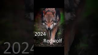 2024 redwolf and 5000bce redwolf animals trending [upl. by Ulrikaumeko]