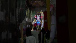 Morye re🌸begumbazarganesh ganeshutsav ganesh ytshorts trend shorts viralshorts [upl. by Introk643]