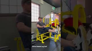 Strive Seated Leg Curl [upl. by Quillan]