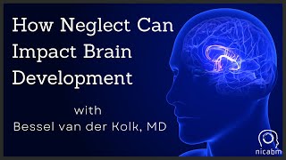 How Neglect Can Impact Brain Development – with Bessel van der Kolk MD [upl. by Sualkin]