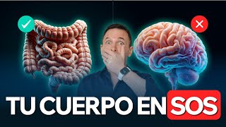 🥛ALIMENTOS que sanan tu DIGESTION ✅ en pro de tu MICROBIOTA INTESTINAL 🦠 [upl. by Alyda]