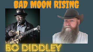 Bo Diddley  Bad Moon Rising 1971 reaction commentary [upl. by Dobrinsky42]