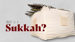 What Is a Sukkah [upl. by Luhe]