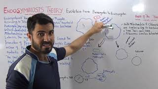 L1 Endosymbiont hypothesis Evolution of Prokaryotes into Eukaryotes full explanation by Dr Hadi [upl. by Allerus977]