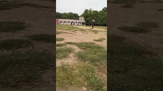 ক্রিকেট হাইলাইটস No 259 Cricket Highlights highlight cricketshorts viral cricket t20worldcup [upl. by Daryl]