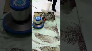 Satisfying carpet Washing satisfying shorts [upl. by Arimaj]