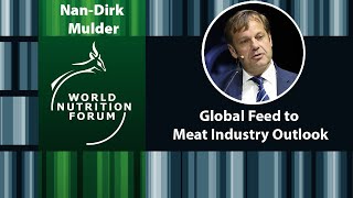 World Nutrition Forum 2018  NanDirk Mulder  Global Feed to Meat Industry Outlook [upl. by Haleak201]