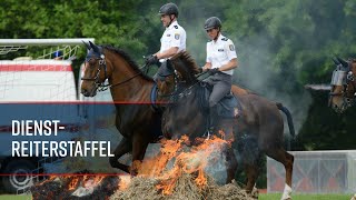 Die Dienstreiterstaffel  Polizei Hessen [upl. by Cinomod]