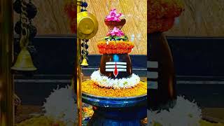 song music youtubeshorts mahadev  omnamahshivayomnamahshivay [upl. by Oibirot]