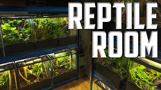 Todas Mis Mascotas Exoticas  Reptile Room Tour [upl. by Osithe]