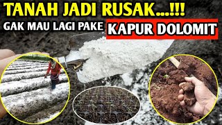 🔴 TANAH JADI RUSAK amp PADAT GAK MAU LAGI PAKE KAPUR DOLOMIT petanicabesubang [upl. by Ietta36]