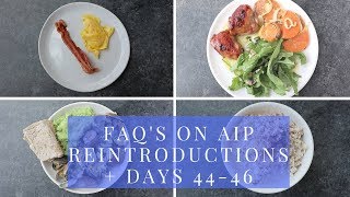 FAQs about AIP Reintroductions  What I ate on Autoimmune Paleo Days 4446 [upl. by Dewey]