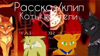 коты воители стань диким Рассказклипчто такое вообще коты воители😽😼 [upl. by Ojibbob]