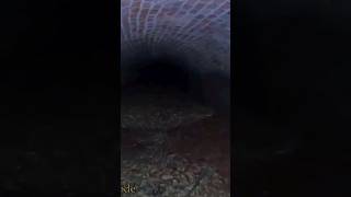 Chilling DISCOVERY in SECRET Underground TUNNELS shorts tunnels exploring [upl. by Parris]