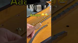 Getting injured restoring my piano full video on youtube erard piano restoration [upl. by Eaner]